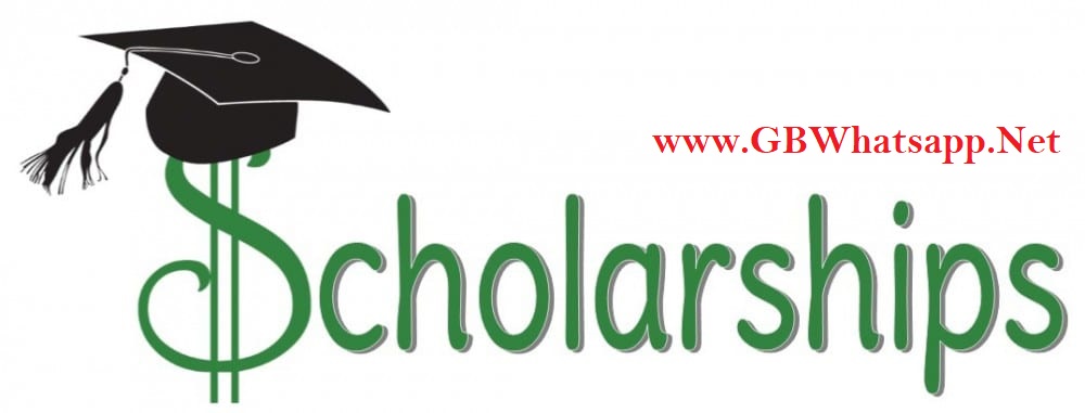 GBWhatsapp Scholarship Program